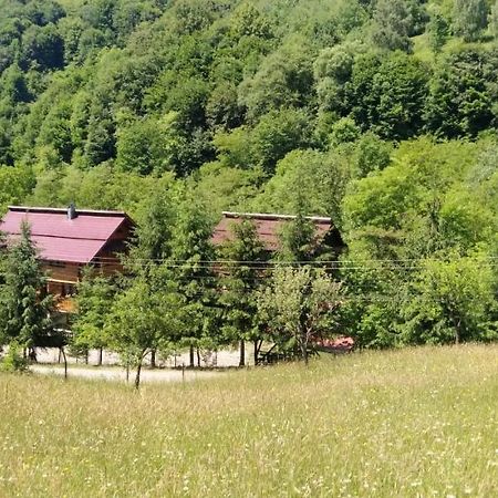 Pensiunea Simina Вишеу-де-Жос Экстерьер фото