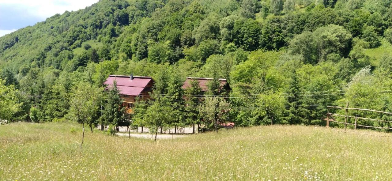 Pensiunea Simina Вишеу-де-Жос Экстерьер фото