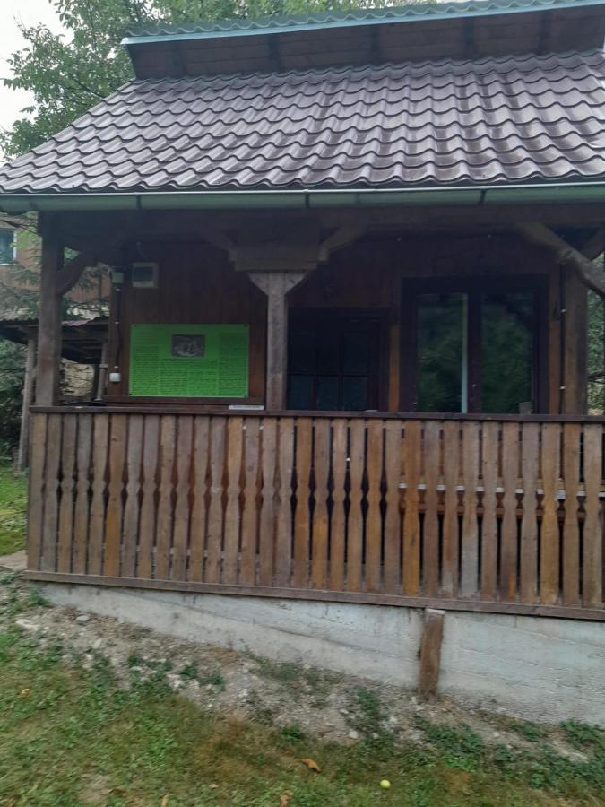 Pensiunea Simina Вишеу-де-Жос Экстерьер фото